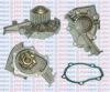 AQUAPLUS 85-5935 Water Pump